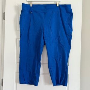 Alfani Blue Women's Pants